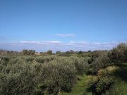 Nea Kydonia Kreta, Nea Kydonia: Grundstück in Chryssi Akti zu verkaufen Grundstück kaufen
